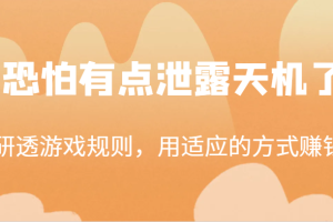 某公众号付费文章：研透游戏规则，用适应的方式赚钱，这几段话，恐怕有点泄露天机了！