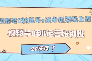 视频号·0粉起号+话术框架线上课：视频号0到1运营培训班（20节课）