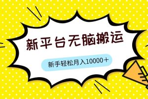 新平台用软件无脑搬运，月赚10000+，小白也能轻松上手