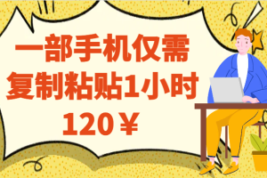 一部手机仅需复制粘贴1小时120￥