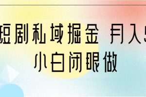 靠短剧私域掘金 月入5W 小白闭眼做（教程+2T资料）