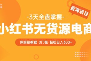 2023小红书无货源电商保姆级教程，从0到日入300，爆单3W