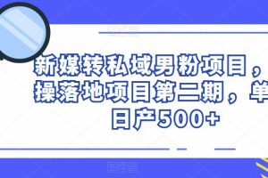 新媒转私域男粉项目，实操落地项目第二期，单号日产500+