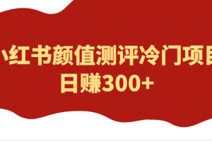 外面4980的项目，小红书颜值测评冷门项目，日赚300+