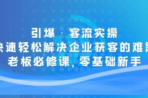 引爆·客流实操：快速轻松解决企业获客的难题，老板必修课，零基础新手