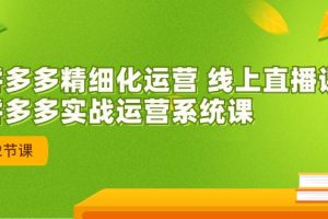 2023年8月新课-拼多多精细化运营 线上直播课：拼多多实战运营系统课-42节