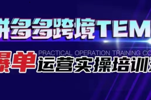 拼多多跨境TEMU爆单运营实操培训班 海外拼多多的选品、运营、爆单