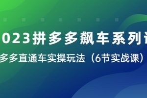 2023拼多多飙车系列课，多多直通车实操玩法（6节实战课）