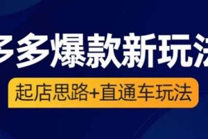 2023拼多多爆款·新玩法：起店思路+直通车玩法（3节精华课）