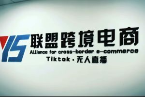 Tiktok无人直播，不出镜不剪辑不拍摄不发货无售后的跨境短视频躺赚玩法