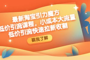 最新淘宝引力魔方低价引流实操：小成本大流量，低价引流快速拉新收割