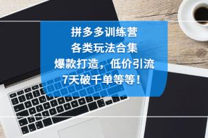 拼多多训练营：各玩法合集，爆款打造，低价引流，7天破千单等等