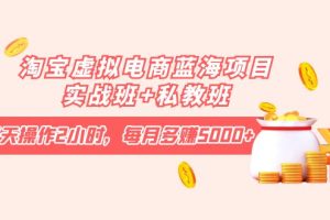 淘宝虚拟电商蓝海项目实战班：每天操作2小时，每月多赚5000+