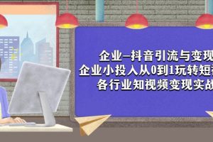 企业-抖音引流与变现：企业小投入从0到1玩转短视频 各行业知视频变现实战