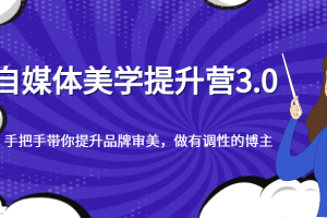 自媒体美学提升营3.0，手把手带你提升品牌审美，做有调性的博主