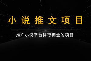 跟果果学小说推文项目变现，手把手教你快速生成一篇小说推文