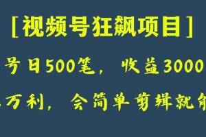 日收款500笔，纯利润3000+，视频号狂飙项目！