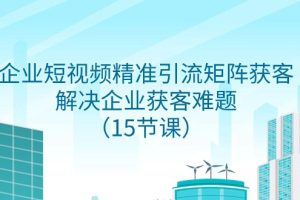 企业短视频精准引流矩阵获客，解决企业获客难题（15节课）