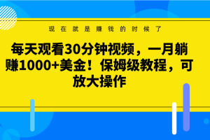 每天观看30分钟视频，一月躺赚1000+美金！保姆级教程，可放大操作