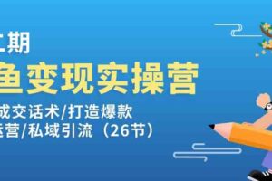 闲鱼变现实操训练营第2期：选品/成交话术/打造爆款/精细运营/私域引流