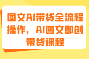 图文AI带货全流程操作，AI图文即创带货课程（9节）