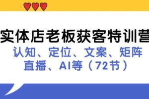 实体店老板获客特训营：认知、定位、文案、矩阵、直播、AI等（72节）