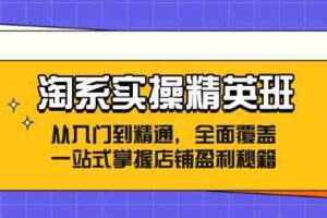 淘系实操精英班：从入门到精通，全面覆盖，一站式掌握店铺盈利秘籍