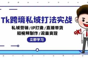 Tk跨境私域打法实战：私域营销/IP打造/直播带货/短视频制作/流量变现