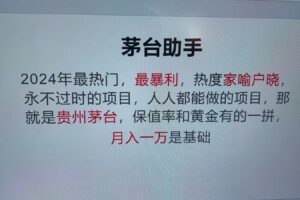 魔法贵州茅台代理，抛开传统玩法，使用科技命中率极高，单瓶利润1000+