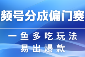 视频号创作者分成计划偏门类目，容易爆流，实拍内容简单易做