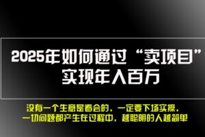 2025年如何通过“卖项目”实现年入百万