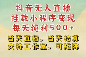 抖音无人挂机项目，轻松日入500+,挂载小程序玩法，不违规不封号，有号的一定挂起来