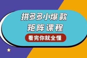 拼多多爆款矩阵课程：教你测出店铺爆款，优化销量，提升GMV，打造爆款群