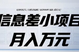 信息差小项目：国内外视频代下载，项目操作简单零成本零门槛月入过万