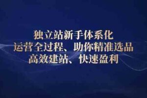 独立站新手体系化 运营全过程，助你精准选品、高效建站、快速盈利