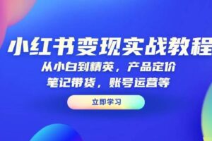 小红书变现实战教程：从小白到精英，产品定价，笔记带货，账号运营等