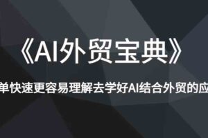 《AI外贸宝典》简单快速更容易理解去学好AI结合外贸的应用