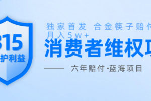 维Q赔付合金筷子玩法小白也能月入5w+风口项目实操